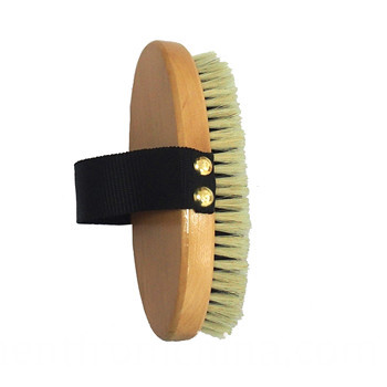 brosse à cheval horse brush